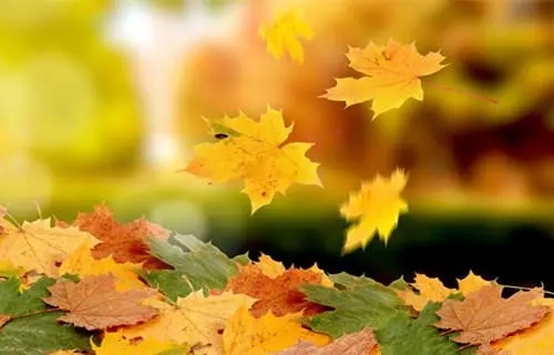 什么是虚拟运营商手机号码